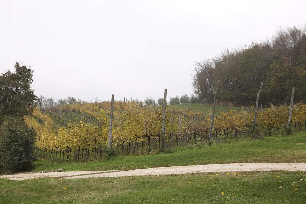 Agriturismo Marani Arcugnano Zewnętrze zdjęcie