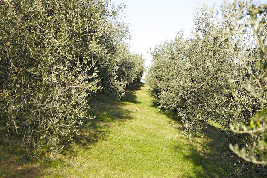 Agriturismo Marani Arcugnano Zewnętrze zdjęcie